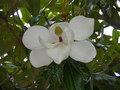 2007-Louisiana-Mission-Trip EBC (272).JPG